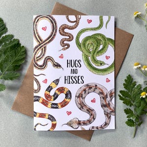 May include: A white card with a colorful illustration of five snakes with red hearts. The text "Hugs and Hisses" is printed in black.