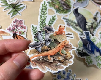 May include: A sticker featuring a watercolor illustration of a newt, two small frogs, and mushrooms on a leafy background. The sticker is white with a black outline and the text "Lucinda Rowe" at the bottom.