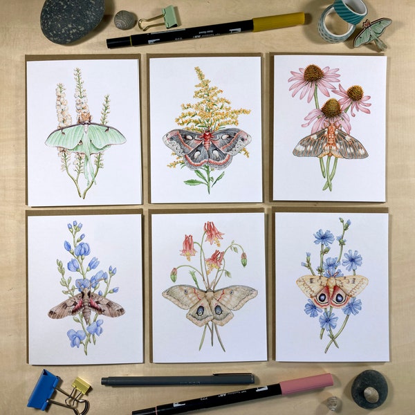 Note Card Set - 6 Moths & Wildflowers on Blank Recycled Cards