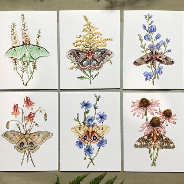 12 desenhos de mariposas e flores silvestres em cartões reciclados em branco.