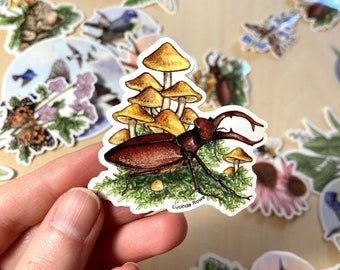 Vinyl Sticker - Giant Stag Beetle with Fungi