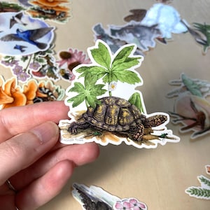 May include: A detailed sticker featuring a turtle with a textured shell, surrounded by green leaves and small white flowers. The sticker is a nature-themed design with a realistic illustration style. Other stickers with floral and animal designs are in the background.