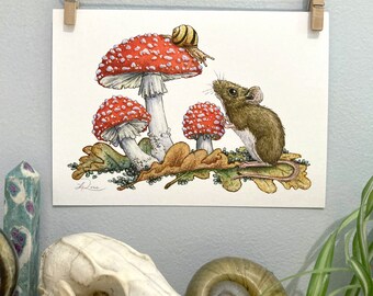 May include: A watercolour illustration of a small mouse looking up at a red and white mushroom with a snail on top. There are two other mushrooms in the background, one red and white and one with a white top and brown stem. The mushrooms are surrounded by green leaves.