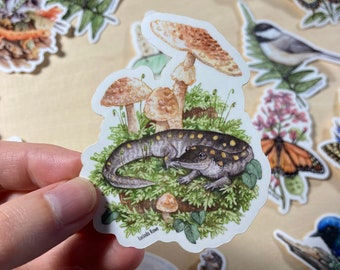 May include: A sticker featuring a watercolor illustration of a salamander with yellow spots, resting on a bed of moss and mushrooms. The mushrooms are brown and white with a light brown stem. The sticker has a white background and the artist's name, "Lucinda Rowe", is printed in the bottom right corner.