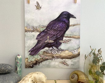 Raven with Moths Giclee Archival Print