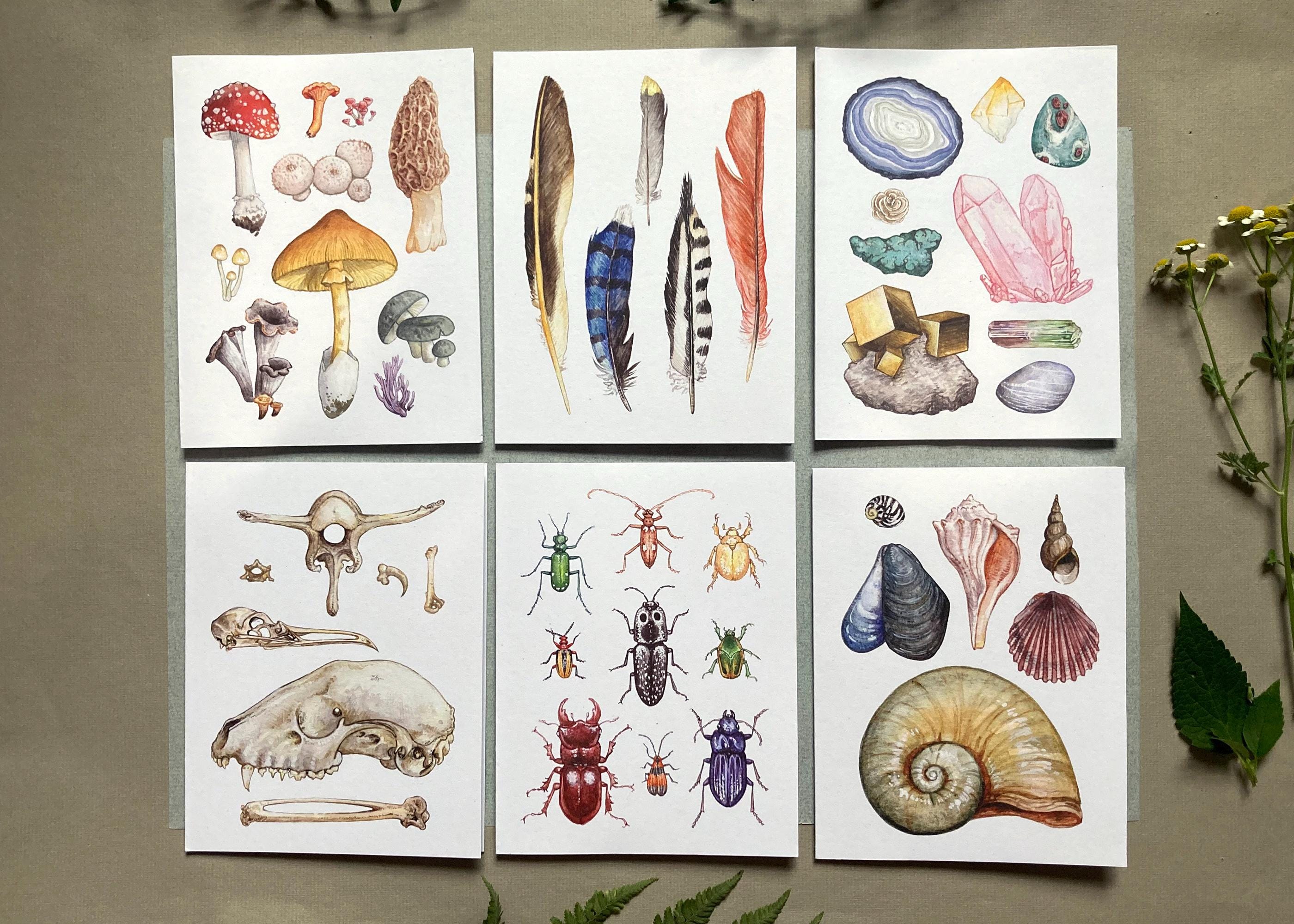 Bachelor Geschenk 48 Blanko-Grußkarten Mit Tierzeichnungen -  Umweltfreundlich Aus Recyclingpapier Tierzeichnungen Künstler, image size:2800x2000