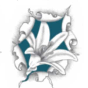 May include: A white lily flower with a teal blue background, appearing as if it is bursting through a torn piece of paper. The text "KG WESTERN DESIGNS" is at the top of the image.