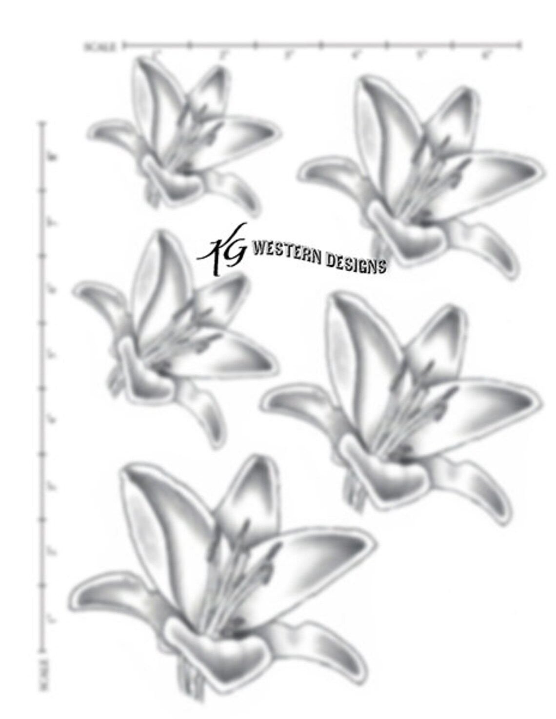 Leather Tooling Tracing Lilly Flower Size Pattern Pack - Etsy