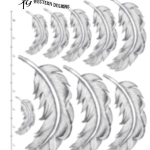 May include: A set of nine black and white feather illustrations. The feathers are drawn in a realistic style with detailed lines and shading. The feathers are arranged in a staggered pattern, with the largest feather at the bottom and the smallest feather at the top.
