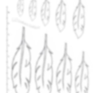 Plumas dibujadas a mano, escala de trazado, herramientas de cuero