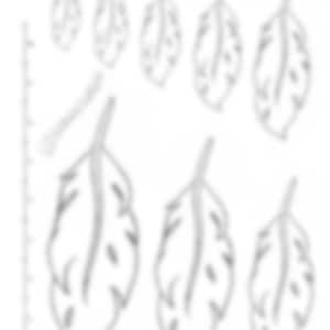 Hand-drawn Feathers Leather Tooling Carving Tracing Template Size Pack