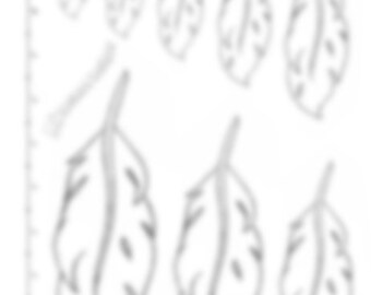 Hand-drawn Feathers Leather Tooling Carving Tracing Template Size Pack