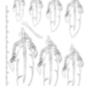 May include: A set of seven black and white line drawings of feathers. The feathers are drawn in a simple, stylized manner.