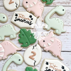 1 Dozen Baby Dinosaurs Egg Numbers Name Birthday Decorated Sugar Cookies