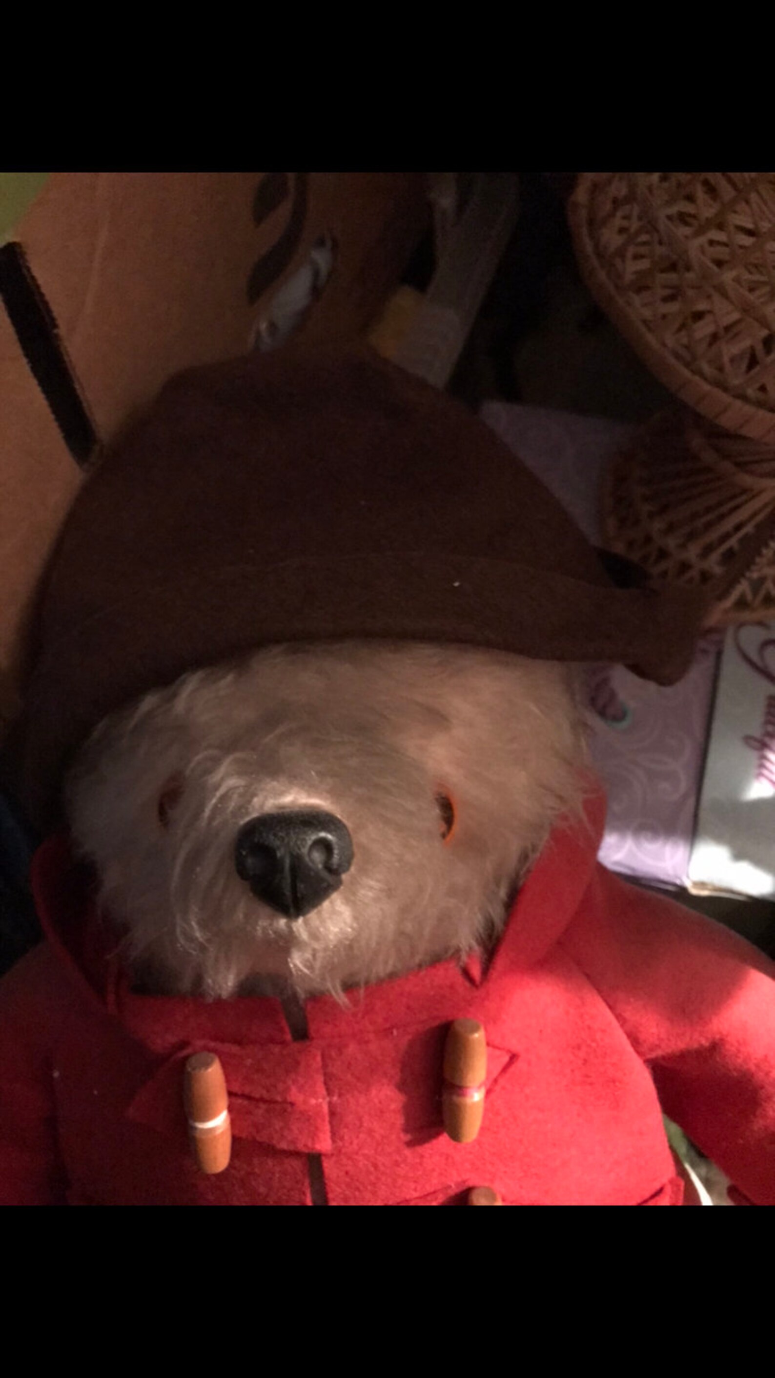 Vintage 1972 Paddington Bear by Gabrielle Designs Ltd in Etsy Australia