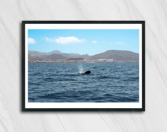 TENERIFE / Landscape photography print