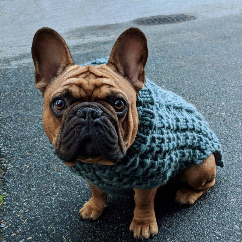 Luxury Merino Wool Dog Sweater Made to Your Custom Etsy