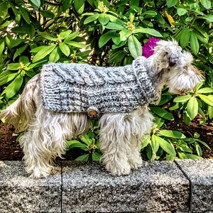 Knitting Pattern for Cozy, Belted Dog Sweater - Small and Medium Pet Sizes, Handmade Dog Lover Knit PDF  - Cabled Jumper fits Cats and Pups