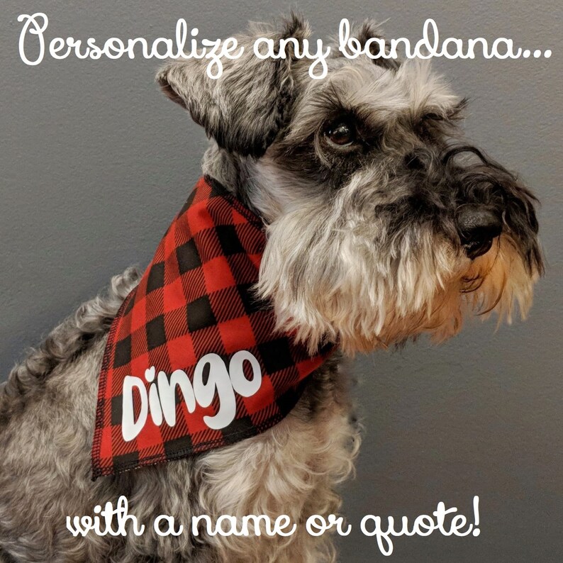 Personalize with Name or Quote Perfect for Holidays and Weddings Black and Metallic Gold Reversible Dog Bandana