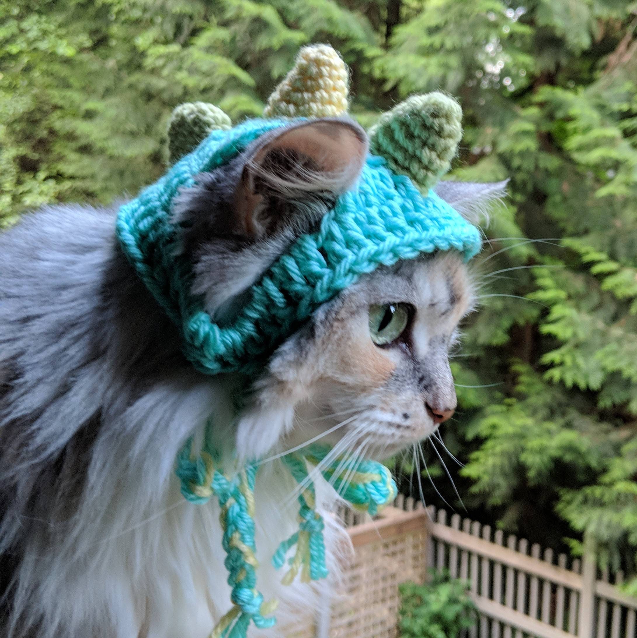 cat in dinosaur costume