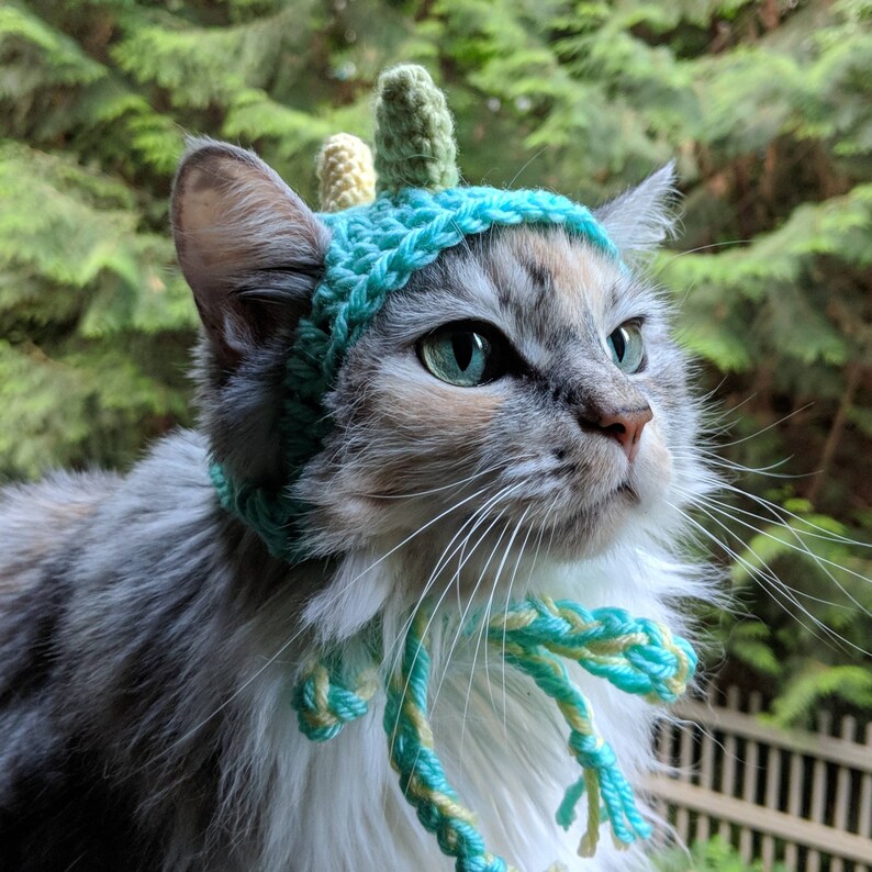 Dinosaur Cat Hat Small Pet Halloween Dino Costume Cat Mom ...