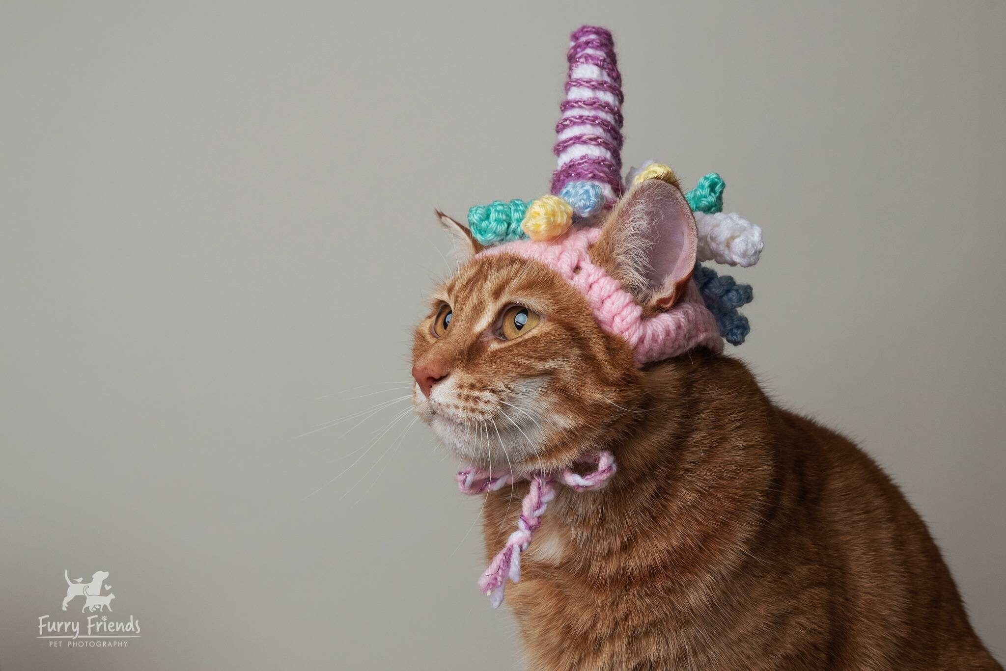 Cat Unicorn Costume ubicaciondepersonas.cdmx.gob.mx