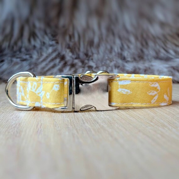 mustard yellow dog collar