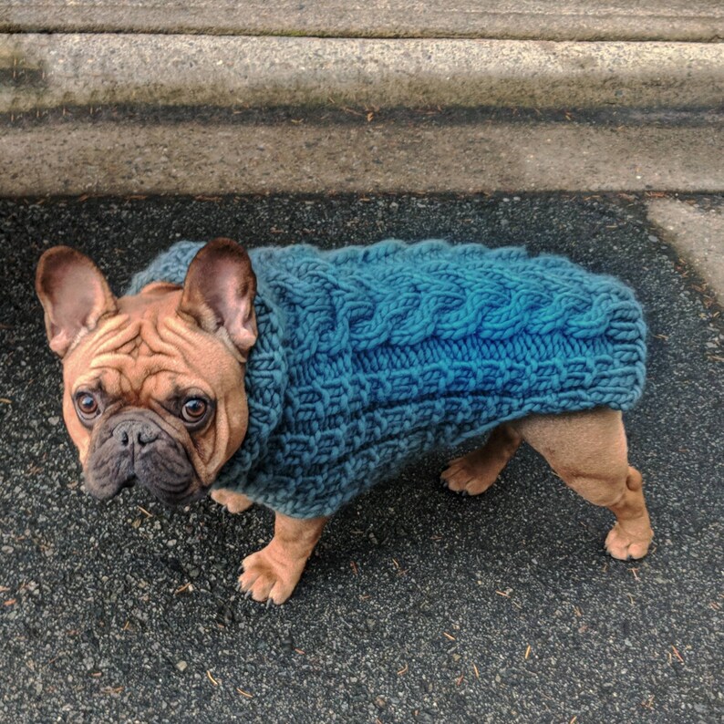 Luxury Merino Wool Dog Sweater Made to Your Custom Etsy