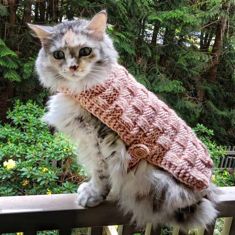 Sleeveless Hand Knit Cat Sweater Easy to Dress Gift for Etsy Canada