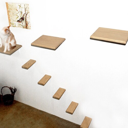 DIY Cat Wall Steps Set of 5 Wall Climber Cat Shelves Etsy