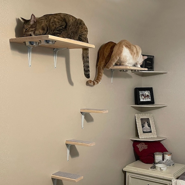 Dog Proof Cat Feeding Station Etsy