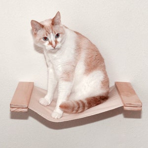 wall mounted cat perch