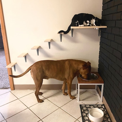 Raised Cat Feeder Station Wall Mounted & Dog Proof Cat Etsy
