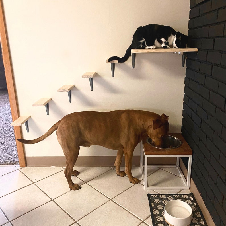 Wall Mount Raised Cat Food Station 5 Cat Climbing Steps Dog Etsy