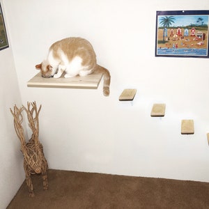 wall mounted cat stairs