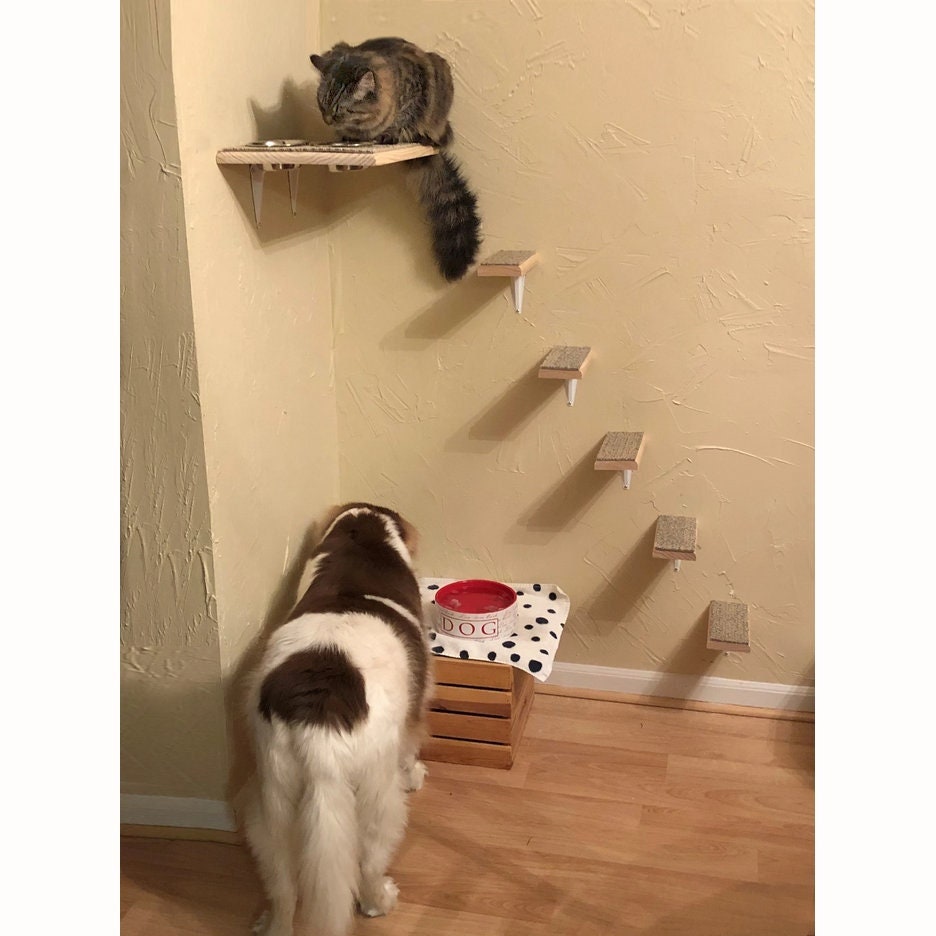 cat feeder shelf