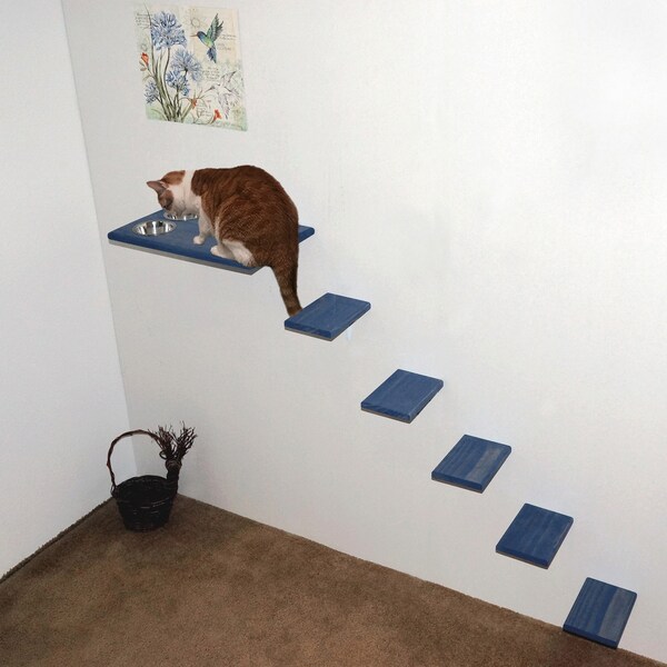 Dog Proof Cat Feeding Station Etsy