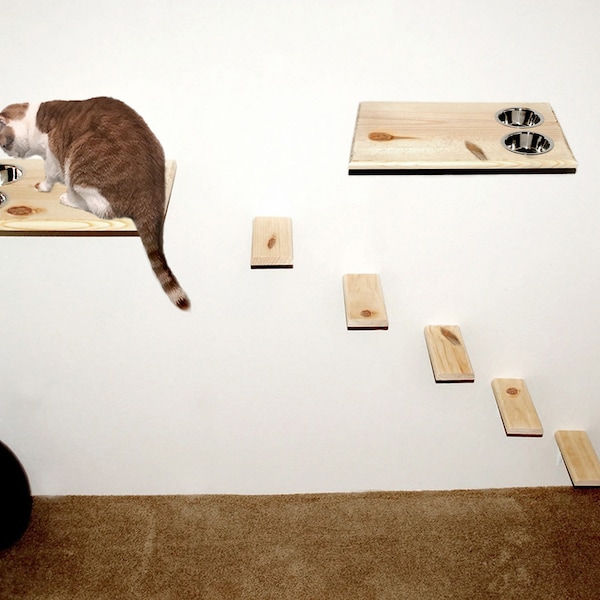 Dog Proof Cat Feeding Station Etsy