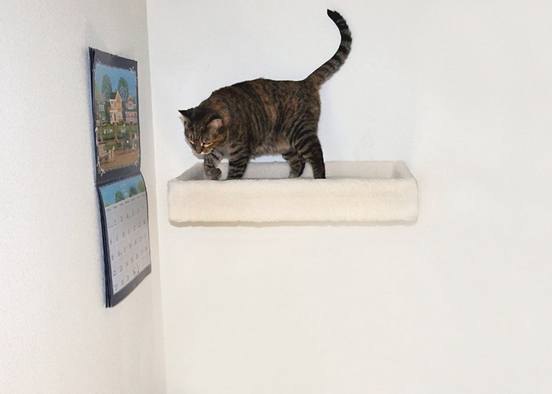 Large Cat Bed Maine Coon Sized Cat Bed Big Floating Padded Etsy Large Cat Bed Maine Coon Sized Cat Bed Big Floating Padded Etsy