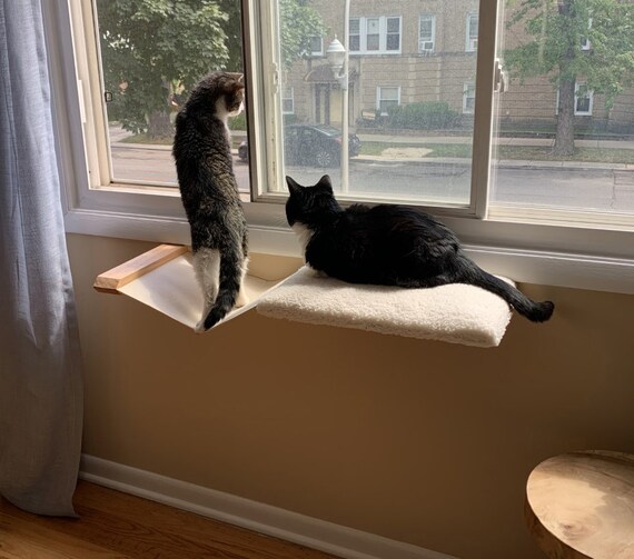 cat perch bed
