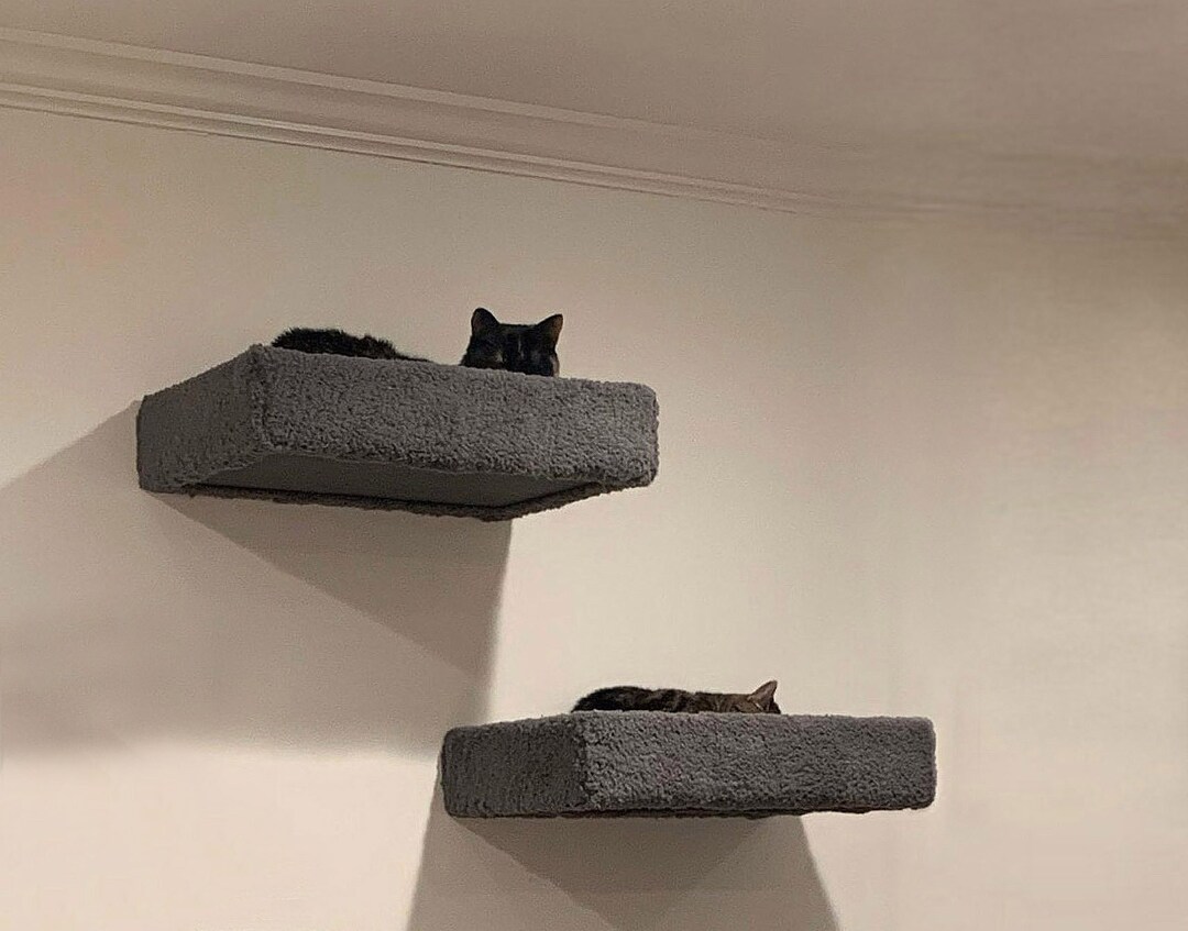 Two Handmade Cat Wall Beds Free Floating Window Sill Cat Etsy