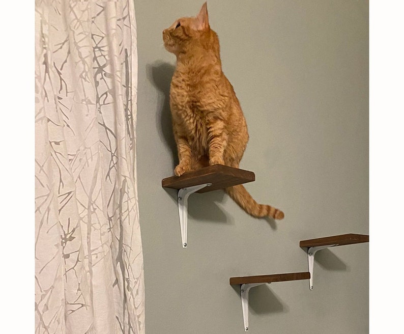 Set of 3 Cat Steps Wall Climbing Steps Solid Wood Carpet Etsy