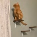 see more listings in the Cat Steps section