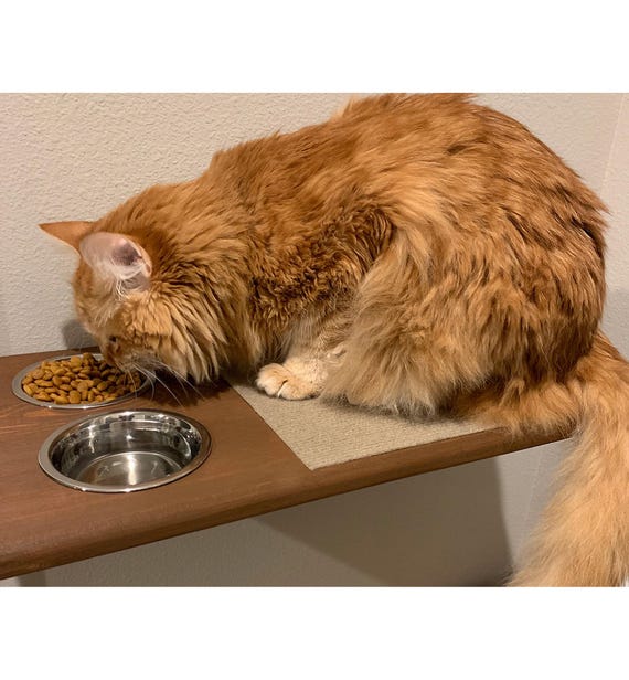Raised Cat Feeder Station Wall Mounted Cat Food Platform Shelf Cat Wall Furniture Handcrafted Solid Pine Wood Etsy