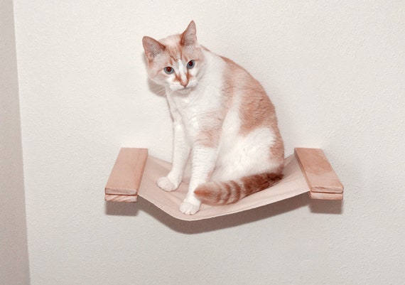 cat hammock shelf