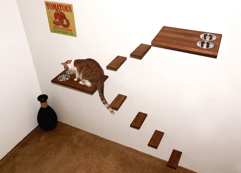 Two Wall Mounted Cat Feeding Stations Dog Proof 6 Cat Etsy