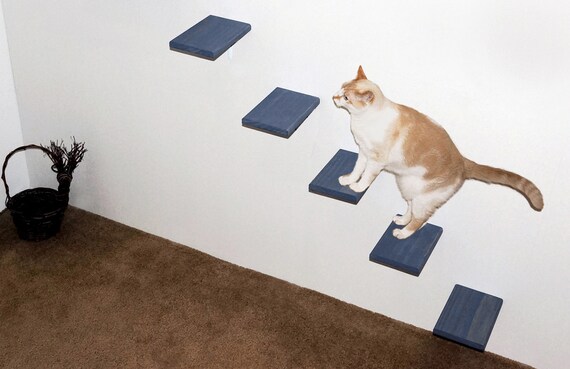 cat wall steps