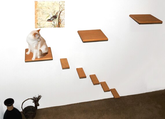 cat wall platforms
