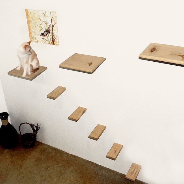 Cat Wall Shelves Etsy