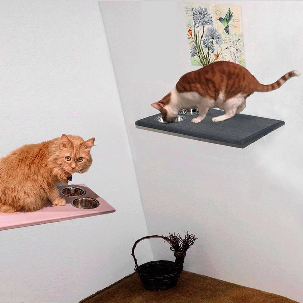 Dog Proof Cat Feeding Station Etsy